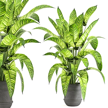 Lush Greens Indoor Plant Collection 3D model image 1 