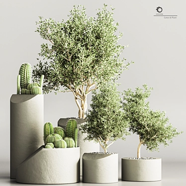 Stylish Indoor Cactus Stand 3D model image 1 