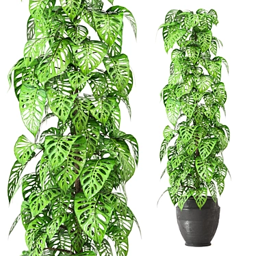 Indoor Plant Collection: Set 279 3D model image 1 