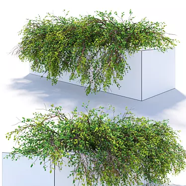 36 Hanging Plant: 2.4m Length 3D model image 1 