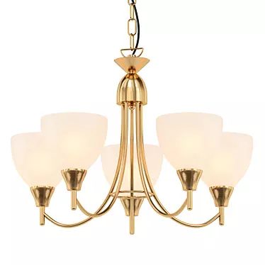 Vintage Brass Pendant Light 3D model image 1 