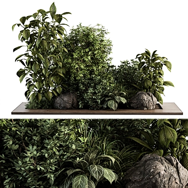 Tropical Oasis: Outdoor Plant Set 3D model image 1 