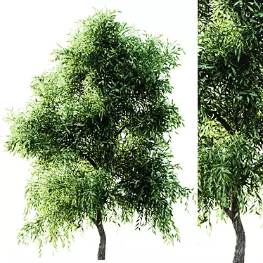 Versatile 2015 Tree Set 3D model image 1 