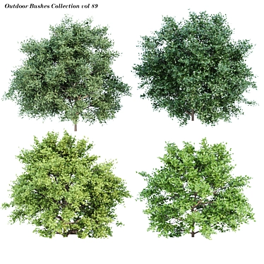 Nature's Oasis Bush Collection 3D model image 1 