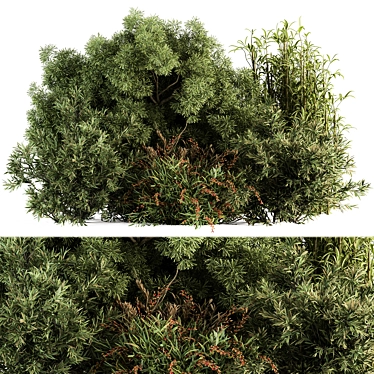 Gorgeous Mixed Plant Bush Set 3D model image 1 