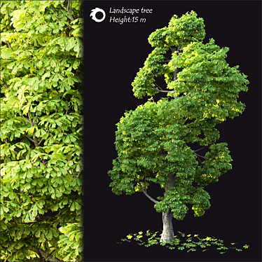  2014 Landscape Tree 15m 3D model image 1 