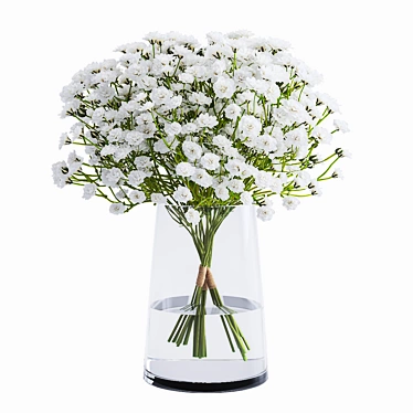 Vibrant Gypsophila 3D Model Plugin 3D model image 1 