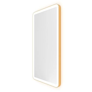 Gold Brass Rectangle Mirror with Front-Lit, 50x100cm 3D model image 1 