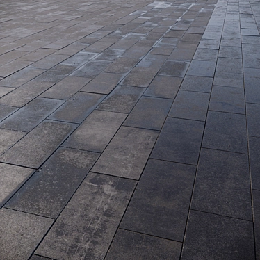 Paving slabs 600x300 mm