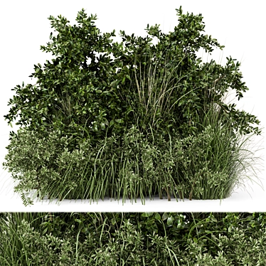 Outdoor Bush Set 595 Auxiliaries 3D model image 1 