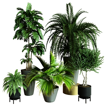 Modern Indoor Plant Collection Set 3D model image 1 