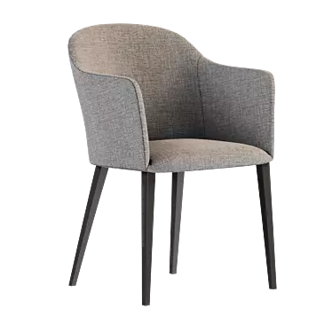 Elegant Grace Chair by Porada 3D model image 1 