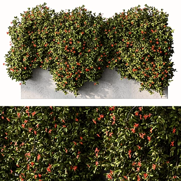 Blooming Outdoor Red Hanging Plants 3D model image 1 