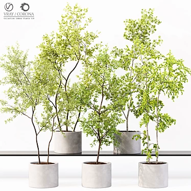 Premium Detailed Indoor Plant Model 3D model image 1 