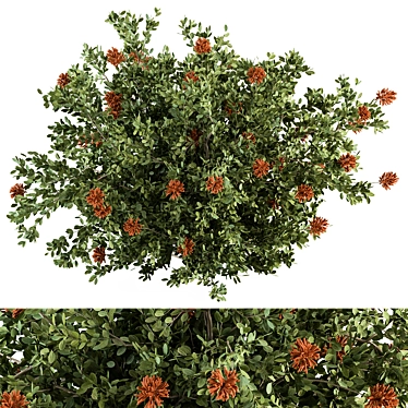  Blooming Bush Set 75 3D model image 1 