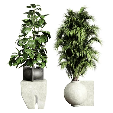 Tropical Plants Concrete Vase Set 3D model image 1 