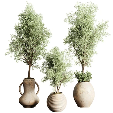 Vintage Olive Tree Vase Collection 3D model image 1 