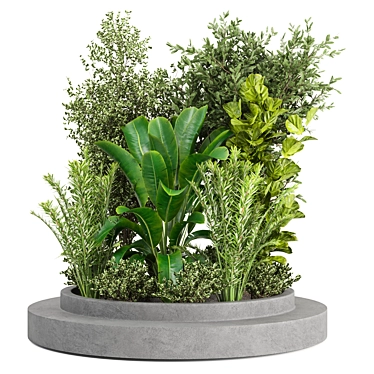 Outdoor Plants Set 295 Collection 3D model image 1 