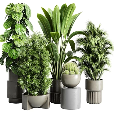 Assorted Indoor Plant Collection 206 3D model image 1 