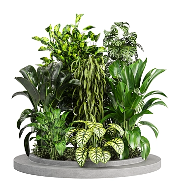 Outdoor Plants Collection Bundle-Variety 3D model image 1 