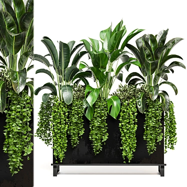 Indoor Plants Set for 3dsMax 3D model image 1 