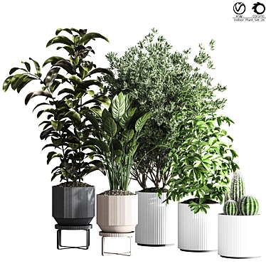 Modern Indoor Plant Set 26 3D model image 1 