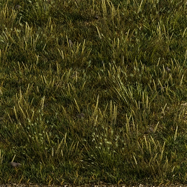  Lush Grass Field Set 3D model image 1 