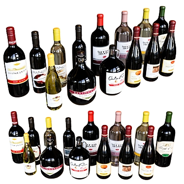  Diverse Wine Collection Set 3D model image 1 