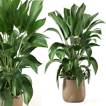 Indoor Plants Collection 3D Models 3D model image 1 