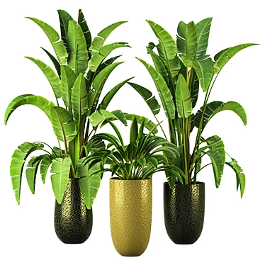 Botanical Beauty Collection Indoor Plant 3D model image 1 