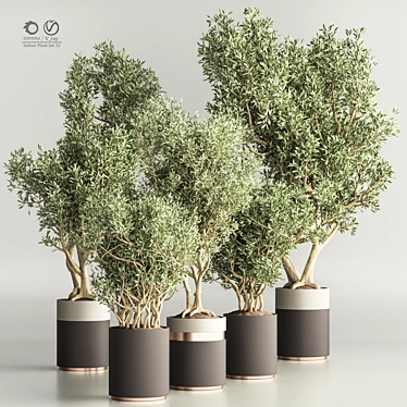 Modern Indoor Plant Set 52 3D model image 1 