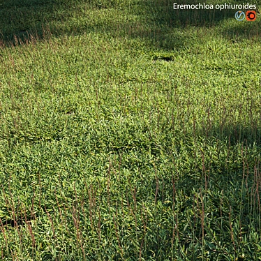 Grass Model Set Bundle 03 3D model image 1 