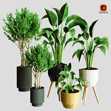 Exquisite Indoor Plant Collection 3D Model 3D model image 1 