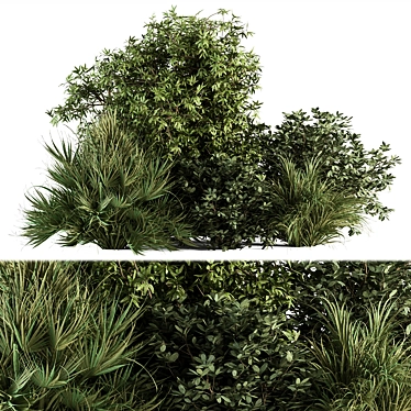 Exotic Bush Mix Set 71 3D model image 1 