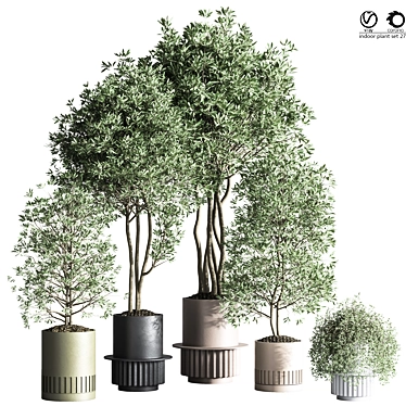 Modern Indoor Plant Set 27 3D model image 1 