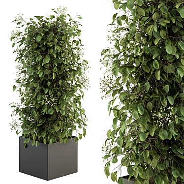 Ivy Plant Set with Pot 3D model image 1 