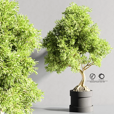 Bonsai Plant Models Bundle 3D model image 1 