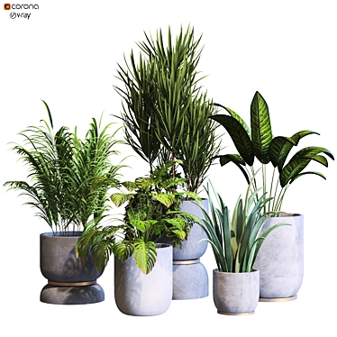 Botanica Interior Plant Collection Set 3D model image 1 