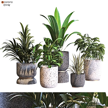 Modern Greenery Decor Collection 2015 3D model image 1 