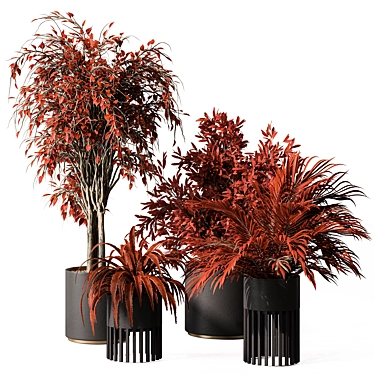 Ruby Red Plant Trio Display 3D model image 1 