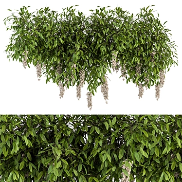 Diverse Outdoor Hanging Plants Set 3D model image 1 