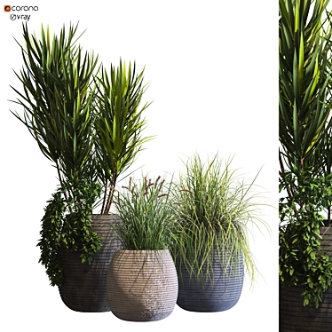 Modern Vase Set with Plants 3D model image 1 