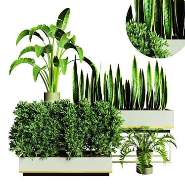 Designer Indoor Plant Collection 78 3D model image 1 