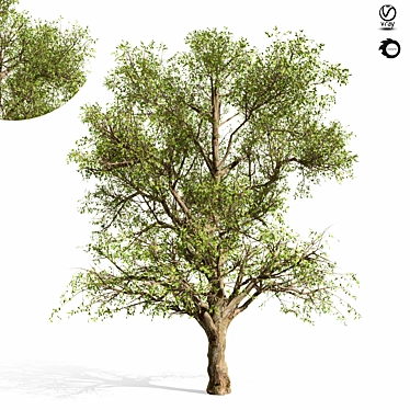 Scandi Style Tree Sculpture 3D model image 1 