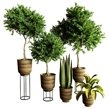 Modern Indoor Plant Collection 84 3D model image 1 