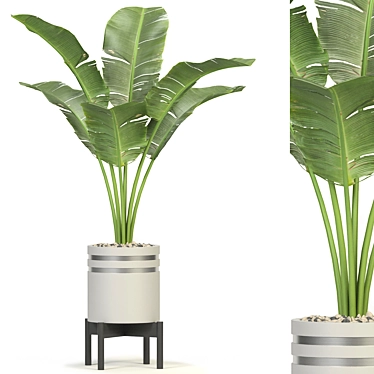 Greenery Assortment 3D Model Collection 3D model image 1 