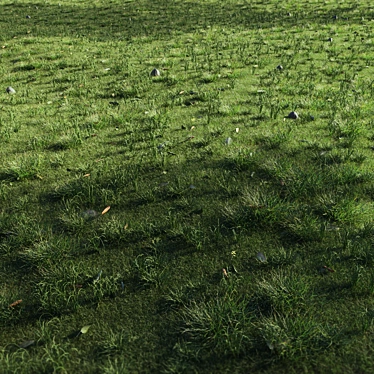 Eco-Scatter Grass Kit 3D model image 1 