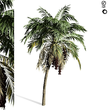 Forest Palm Tree Sculpture - 1150cm 3D model image 1 