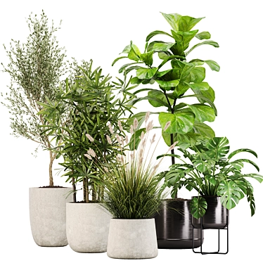 Modern Indoor Plant Set 32 3D model image 1 