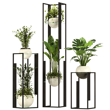 Modern Indoor Plant Collection 3D 3D model image 1 